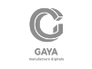 Gaya - Channel Program - ITS Integra